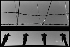 Nikon F5 - Second Light - 001