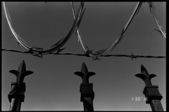 Nikon F5 - Second Light - 002