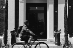 Nikon F5 - Second Light - 003