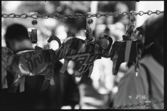 Nikon F5 - Second Light - 005