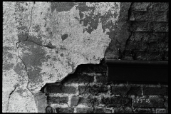 Nikon F5 - Second Light - 006