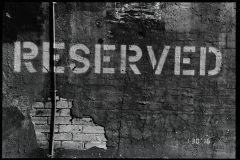 Nikon F5 - Second Light - 007