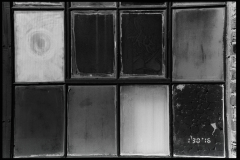 Nikon F5 - Second Light - 008