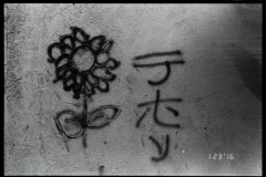 Nikon F5 - Second Light - 009